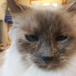 Meet your Posher, Brianna